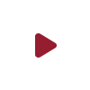 videoBtn
