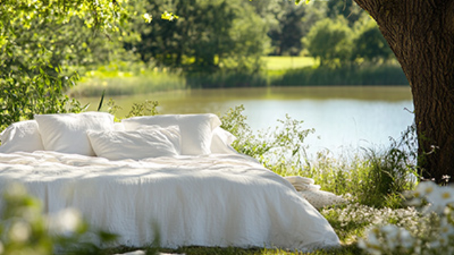  Focuses on R&D.production &branding of towels