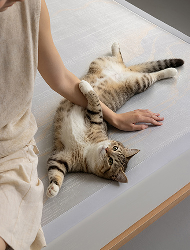 Summer Deep-Sleep Cool Mat